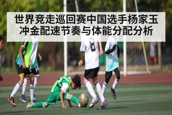 世界竞走巡回赛中国选手杨家玉冲金配速节奏与体能分配分析